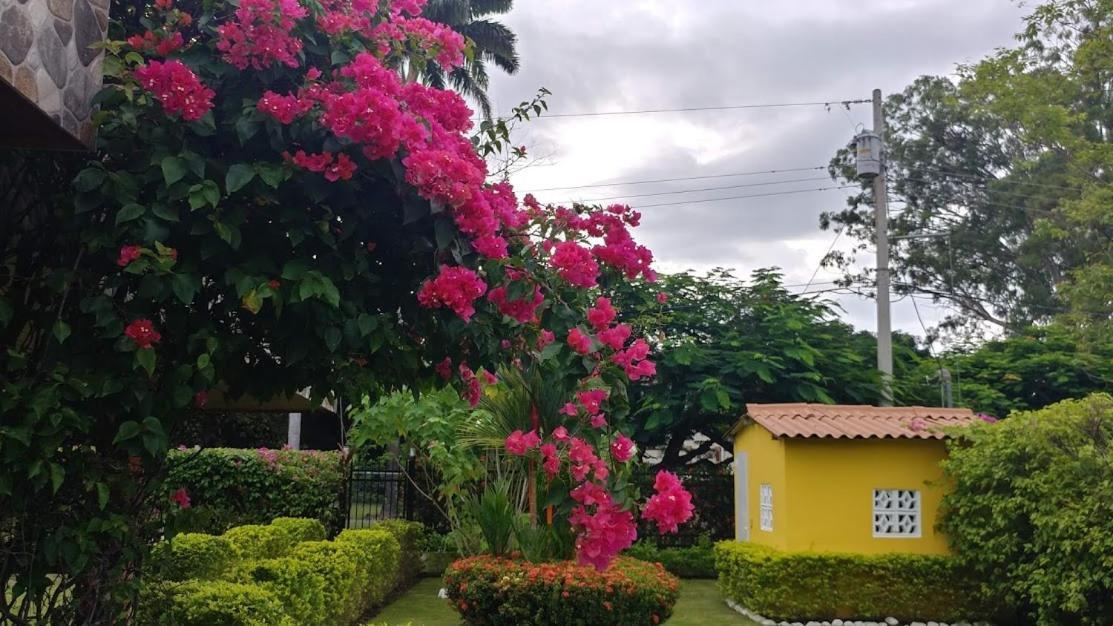 Casa De Los Suenos B&B Coronado Panama Playa Coronado Exterior photo